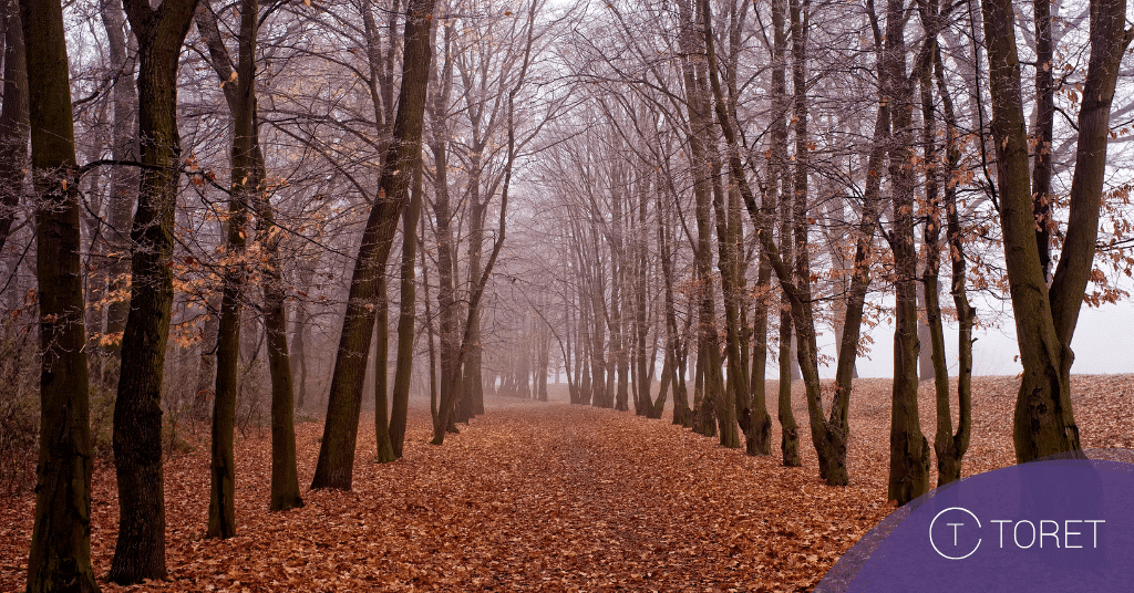 nové funkcie v pluginoch pridané v novembri